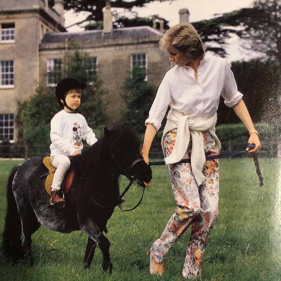 THE PRINCE AND PRINCESS OF WALES In Private In Public Vtg Hardcover Book 1986 - Picture 6 of 11